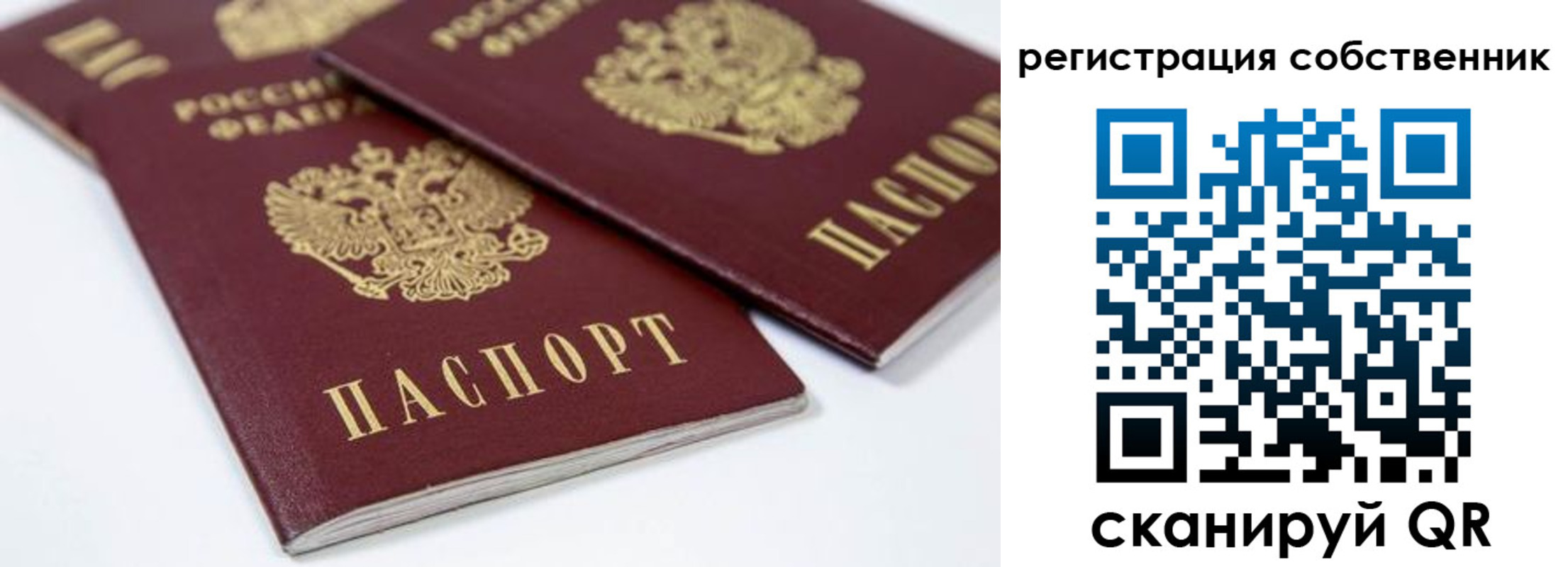 прописка для школы в Владимирской области